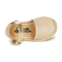 Citrouille et Compagnie - MIOSOTIS