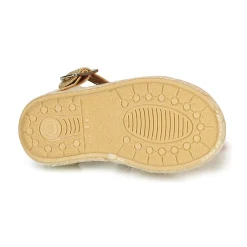 Citrouille et Compagnie - MIOSOTIS