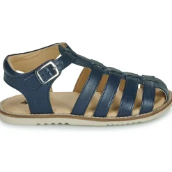 Citrouille et Compagnie - ASMILO Marine New