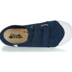 Hot Citrouille et Compagnie - GLASSIA Marine