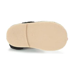 Citrouille et Compagnie - HOSY