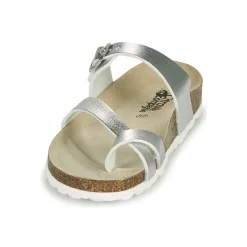 Citrouille et Compagnie - OMILA