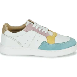 Citrouille et Compagnie - FITOS Bleuciel New