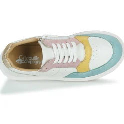 Citrouille et Compagnie - FITOS Bleuciel New