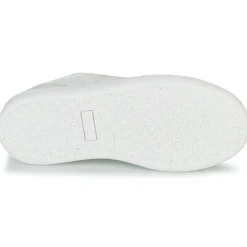 Citrouille et Compagnie - FITOS Bleuciel New