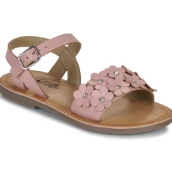 Online Citrouille et Compagnie - FLEURS Pink