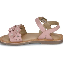 Online Citrouille et Compagnie - FLEURS Pink