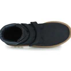 Citrouille et Compagnie - PAXA