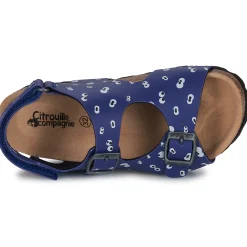 Citrouille et Compagnie - TOTIS Impriméyeuxbleu