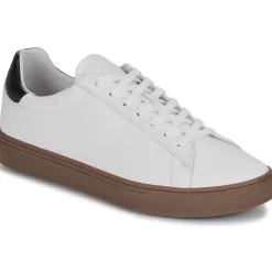 Clearance Clae - BRADLEY