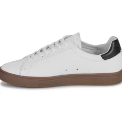 Clearance Clae - BRADLEY