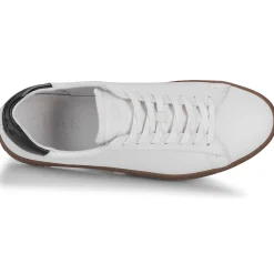 Clearance Clae - BRADLEY