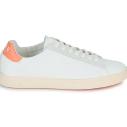 Best Clae - BRADLEY CALIFORNIA