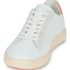 Best Clae - BRADLEY CALIFORNIA