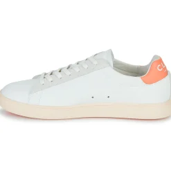 Best Clae - BRADLEY CALIFORNIA