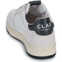 Clae - HAYWOOD