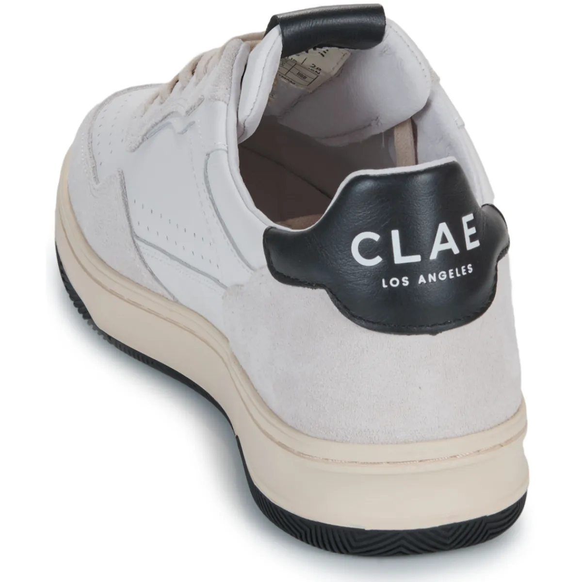 Clae - HAYWOOD