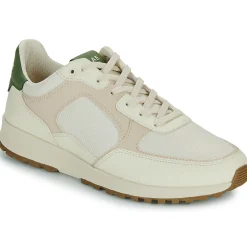 Clearance Clae - JOSHUA APPLE