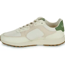 Clearance Clae - JOSHUA APPLE