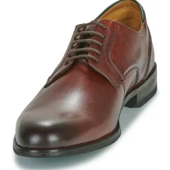 New Clarks - CRAFTARLO LACE Marron