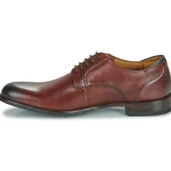 New Clarks - CRAFTARLO LACE Marron