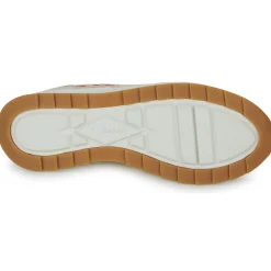 Clarks - DASHLITE JAZZ