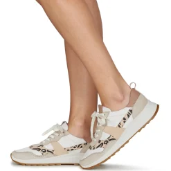 Clarks - DASHLITE JAZZ