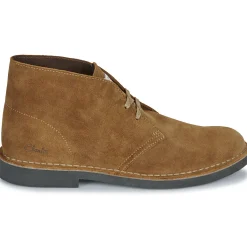Best Clarks - DESERT BT EVO Marron