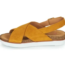 Clarks - ELAYNE CROSS Moutarde New