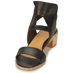 Best Coclico - TYRION Noir