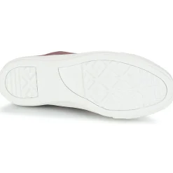 Online Converse - CHUCK TAYLOR ALL STAR LEATHER OX Bordeaux