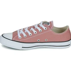 Hot Converse - CHUCK TAYLOR ALL STAR Rose