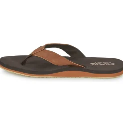 Online Cool shoe - SIN Marron