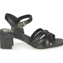 Cosmo Paris - ZAGGI-VEGRAF Noir Hot