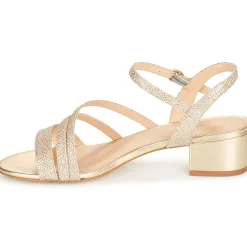 Cosmo Paris - ZEDI-GLIT