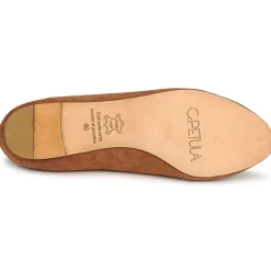 Clearance C.Petula - KING Camel