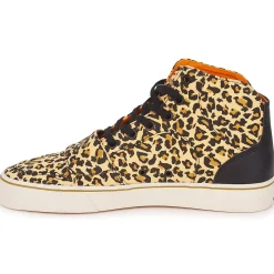 Creative Recreation - W CESARIO XVI M