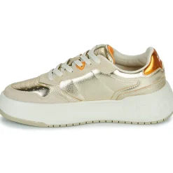 D.Franklin - 321 COURT Doré Discount