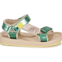 Clearance D.Franklin - 361 FOREST Vert