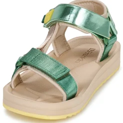 Clearance D.Franklin - 361 FOREST Vert