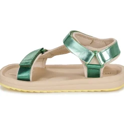 Clearance D.Franklin - 361 FOREST Vert