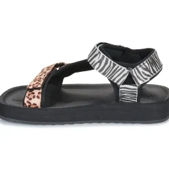 Outlet D.Franklin - 404 FOREST HIGH