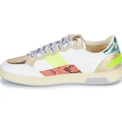 D.Franklin - 403 MATCH Multicolore Sale