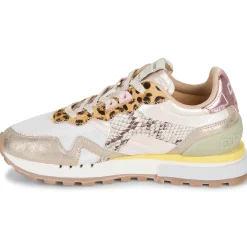 D.Franklin - 378 VIBLA