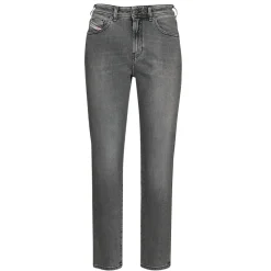 Diesel - 2004 Gris Online