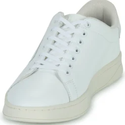 Diesel - S-ATHENE LOW