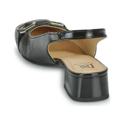 Dorking - GIA Noir Hot