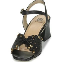 New Dorking - LARUS Noir