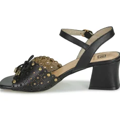 New Dorking - LARUS Noir