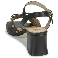 New Dorking - LARUS Noir